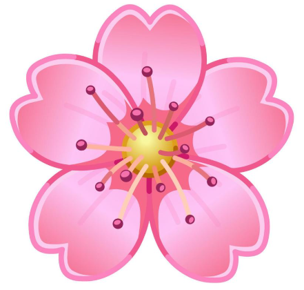 <h4><strong>Seidig glatte Haut für immer!<br/></strong></h4>